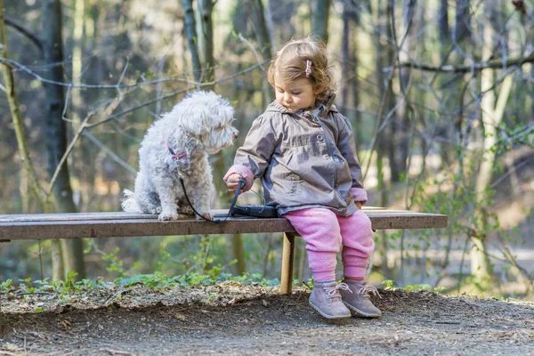 Милая Маленькая Девочка Своей Собакой Парке — стоковое фото