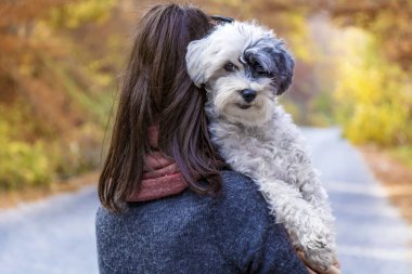 Sonbahar dağında köpeğiyle gezen bir kadın.