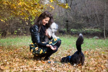 Güz Parkı 'nda Köpekleriyle Oynayan Güzel Gülümseyen Kadın ve Doğanın Mutlu Sahibi