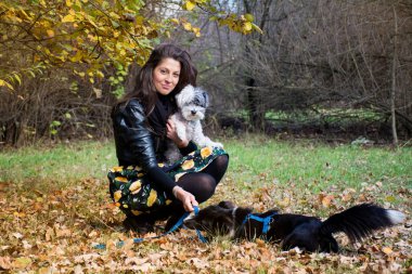 Güz Parkı 'nda Köpekleriyle Oynayan Güzel Gülümseyen Kadın ve Doğanın Mutlu Sahibi