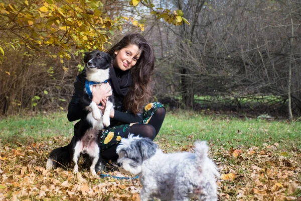 Güz Parkı 'nda Köpekleriyle Oynayan Güzel Gülümseyen Kadın ve Doğanın Mutlu Sahibi