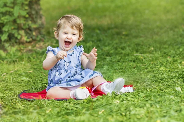 Joyeux Bebe Fille Mignonne Assis Dans Le Parc D Ete Et Riant Enfant Beaute Stock Photo Joyeux Bebe Fille Mignonne Assis Dans Le Parc D Ete Et Riant Enfant Beaute Stock Photo