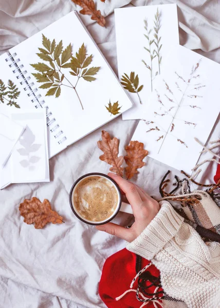 Coziness and comfort autumn concept flat lay with herbarium