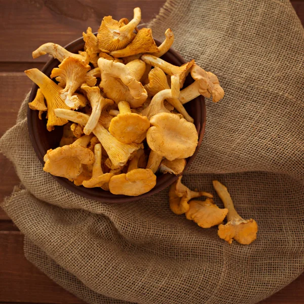 Cogumelos Chanterelle Floresta Outono Recentemente Colhida Uma Placa Backgroun Madeira — Fotografia de Stock