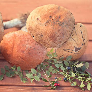 mantar mantar portakal-cap çörek taze sonbahar yaprakları orman ahşap bir arka plan üzerinde rustik ve sürgünler Karpuzu yaban mersini ve cowberrie ile