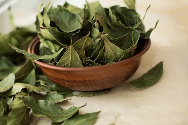 Defne yaprağı ahşap bir fincan