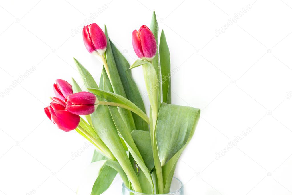 Beautiful vivid gift bouquet of tulips in a glass vase with rain drops water on white background