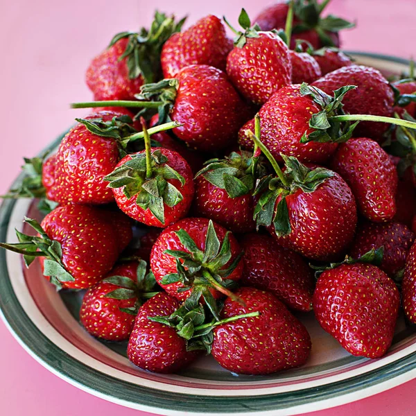 Fliederstrauß Des Frühlings Frisch Weißen Garten Auf Einem Grauen Strukturierten — Stockfoto