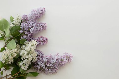 Lila buket bahar taze beyaz bahçe dokulu gri bir arka plan üzerinde