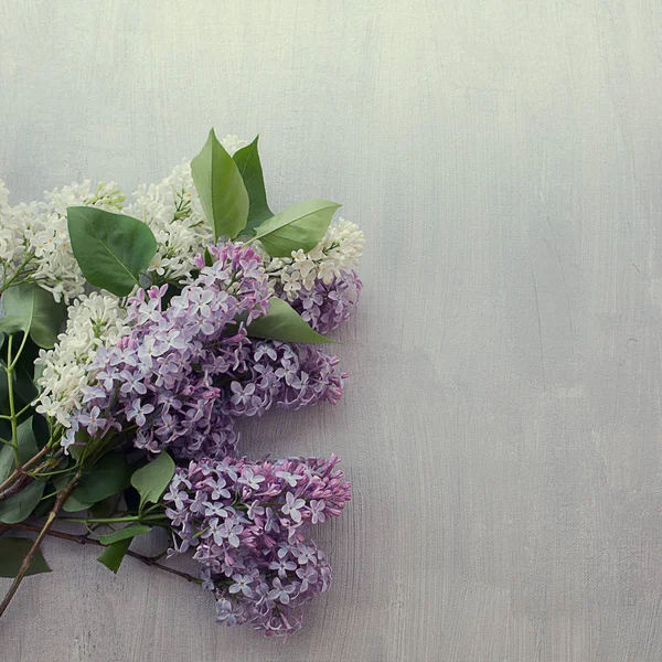 Bouquet Lilas Printemps Jardin Blanc Frais Sur Fond Gris Texturé — Photo