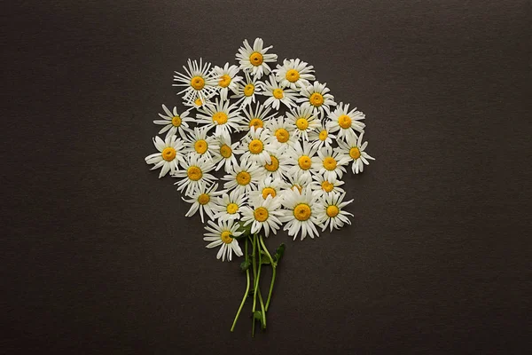 chamomile  daisy spring white with yellow a lot  flower circle on a gray dark textured  background