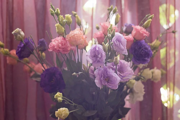 Kytice Kosatců Barevné Vícebarevné Čerstvých Květin Vas — Stock fotografie