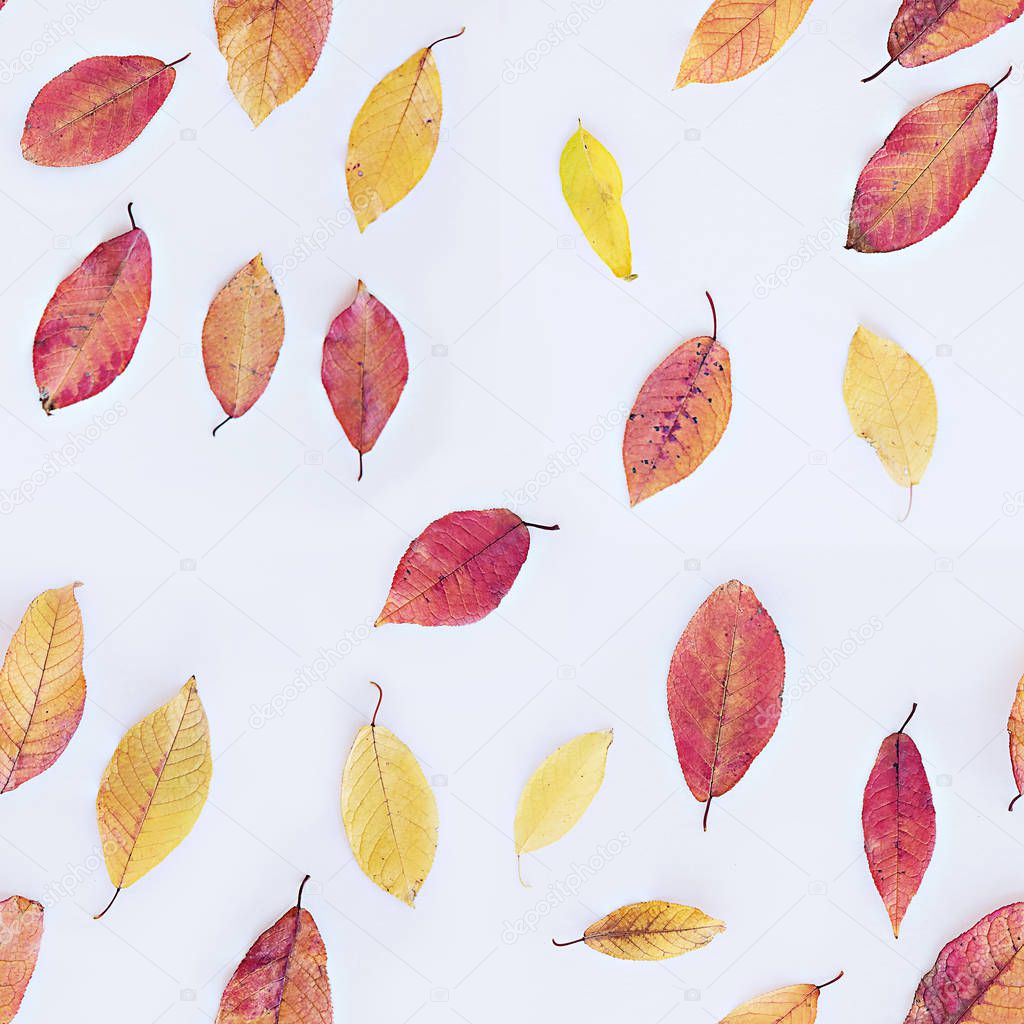 autumn leaves yellow and red dry on a white background seamless pattern