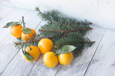mandalina mandalina ile Noel ağacı dalları ile beyaz ahşap zemin üzerinde beyaz bir tabak içinde bırakır