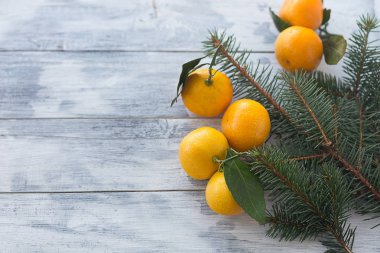 mandalina mandalina ile Noel ağacı branche beyaz bir ahşap zemin üzerine beyaz bir tabak içinde bırakır