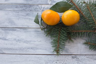 Noel ağacı dalları ile beyaz ahşap zemin üzerinde yaprakları ile iki mandalina mandalina