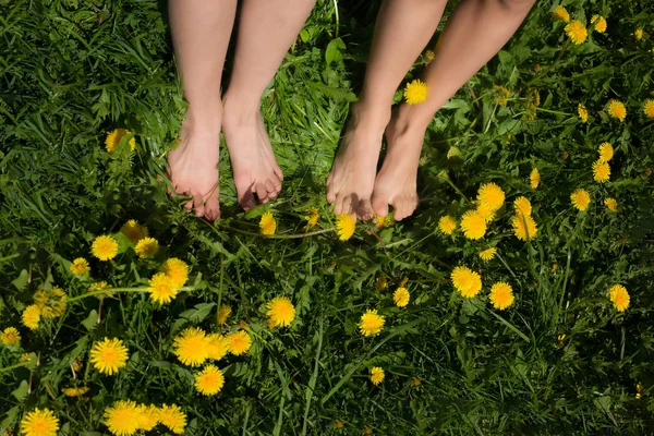 bare feet rest on the grass with spring dandelions