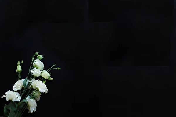 Bouquet Delicati Eustomi Bianchi Freschi Sfondo Nero — Foto Stock