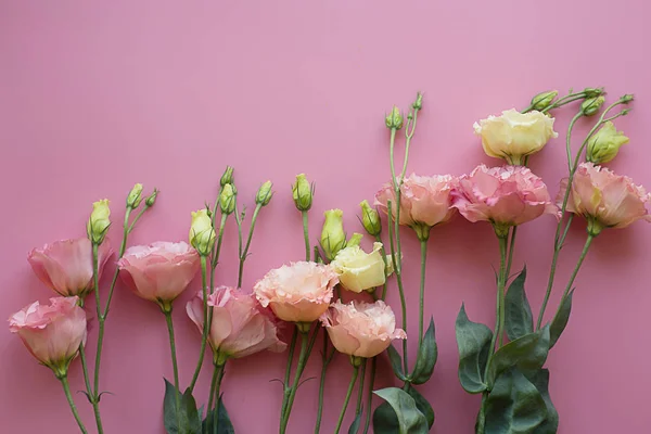 Ramo Delicados Eustomas Rosados Brillantes Frescos Sobre Fondo Rosa Claro — Foto de Stock