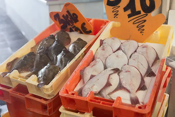 Pescado de mar en el mercado de pescado del Ostende belga —  Fotos de Stock