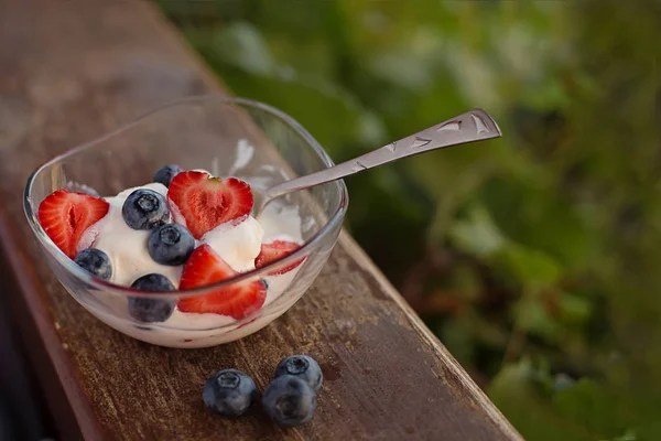 Beeren Erdbeere und Blaubeeren mit Eis auf grünem Fleck — Stockfoto