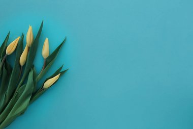 mavi dokusal arka plan üzerinde sarı lale tomurcukları buket. Fl