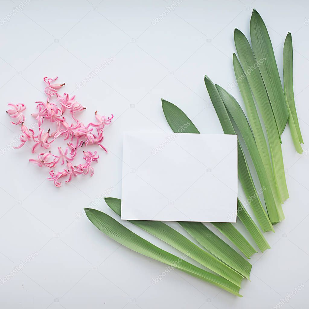 Paper blank with pink hyacinth flowers with leaves on white squa