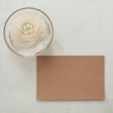 Gri dokusal arka plan üzerinde beyaz çiçek ile kağıt boş. Düz