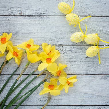 dekoru ile ahşap beyaz kare arka plan nergis Narcissus