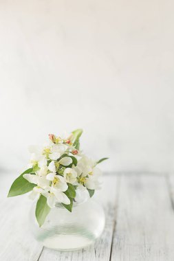 hafif bir arka plan üzerinde bir vazo içinde elma çiçekleri