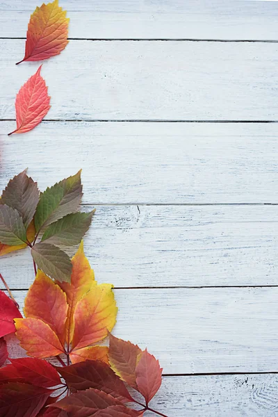 Beyaz ahşap Dikey arka plan üzerinde Sonbahar yaprakları