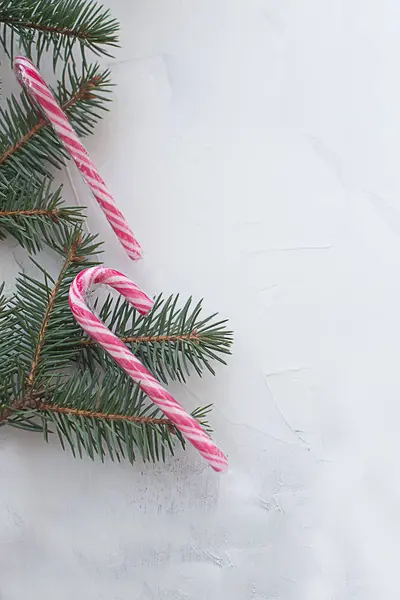 Weihnachtsbaum mit Zuckerstange viele rot mit weiß drauf — Stockfoto