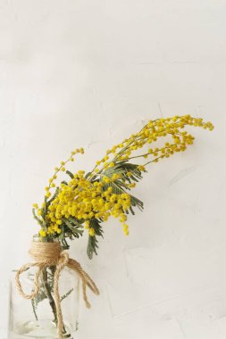 hafif dokusal arka planda mimoza buketi