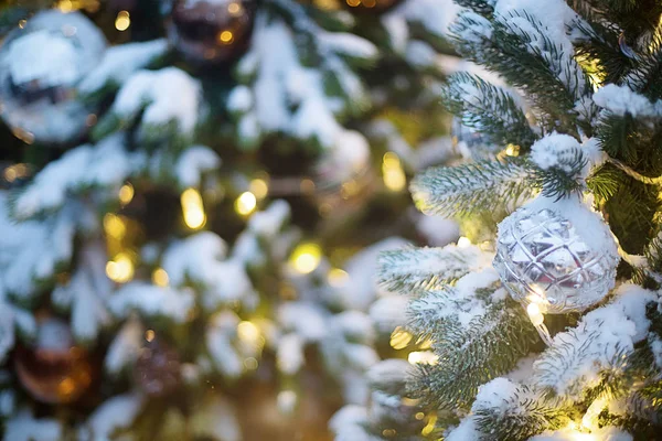 altın vurgular ve lig ile Noel ağacı üzerinde gümüş top