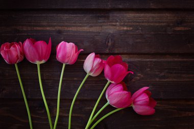 koyu ahşap arka plan üzerinde pembe lale buketi