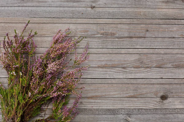 yaşlı ahşap arka plan üzerinde mor Heather