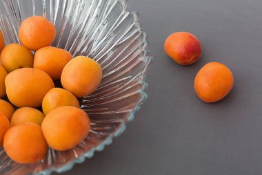 gri bir arka plan üzerinde bir vazo kayısı