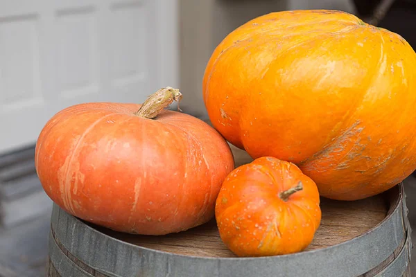 Citrouilles d'automne dans la rue — Photo