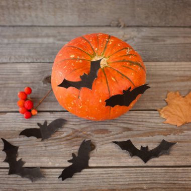 Cadılar Bayramı için kompozisyon. Balkabağı ve yarasalar.