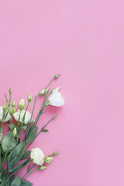 Açık pembe arka planda bir buket taze beyaz Eustoma. Düz konum, kopyalama alanı, üst görünüm. Çiçek bileşimi