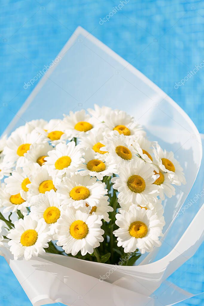Bouquet of white daisies on a vertical background of blue pool water. Minimalist concept for your mockup and project. Layout, copy space. Selective focus