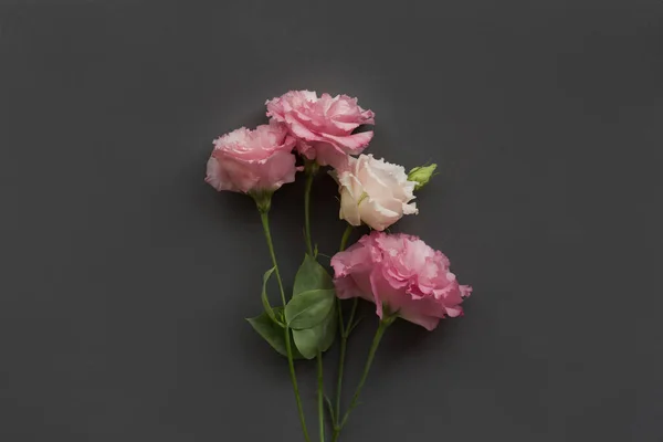Eustoma Rosa Sobre Fondo Gris Bouquet Concepto Minimalista Para Maqueta — Foto de Stock