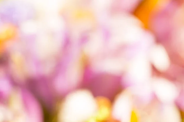 Blurred background lilac, Violet with yellow with highlights and bokeh for your mockup and project. Layout, copy space.