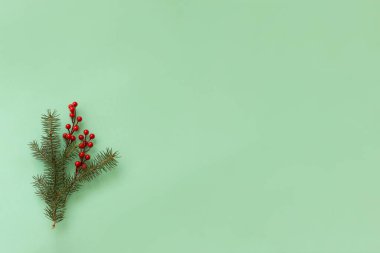 Bir Noel ağacı dalı ve yeşil yatay arka planda kırmızı böğürtlen. Düzen, düzlük, kopyalama alanı, üst görünüm. Seçici odaklanma. Noel kompozisyonu.