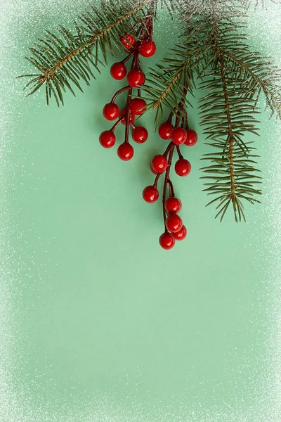 Větev Vánočního Stromečku Červené Bobule Zeleném Pozadí Bílém Sněhovém Rámečku — Stock fotografie