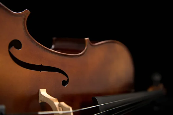 Siyah bir arka plan karşı ayarla bir çello, yakın çekim