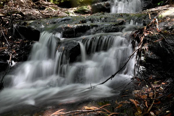 Ormanda bir şelale uzun pozlama.