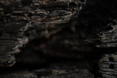 Kırık ağacı ahşap doku yaklaşım