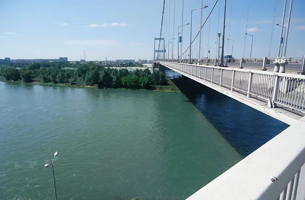 white bridge over the lake, full of water, tree