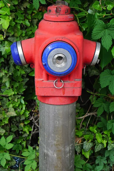 雑草の生い茂った水栓パイプ — ストック写真